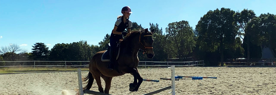 Horse jumping